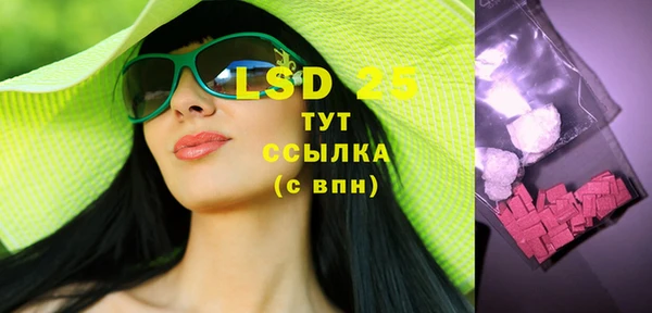 хмурый Абаза