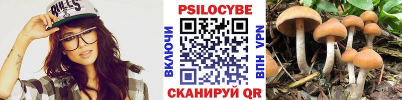 Псилоцибиновые грибы мухоморы  OMG ТОР  Опочка 