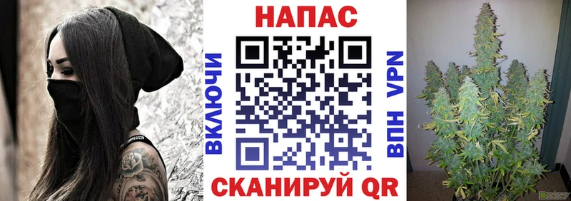 мориарти формула  Опочка  Шишки марихуана OG Kush 